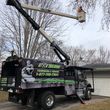 Photo #3: Tree trimming landscaping