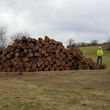 Photo #4: Timber Hardwoods- Timber Management
