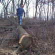 Photo #5: Timber Hardwoods- Timber Management