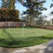 Photo #2: Synthetic turf, Putting Greens and Artificial Grass
