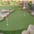 Photo #7: Synthetic turf, Putting Greens and Artificial Grass