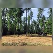 Photo #4: Forestry Mulching/Stump Grinding/Land Clearing & Vegetation Management