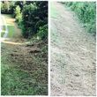 Photo #12: Forestry Mulching/Stump Grinding/Land Clearing & Vegetation Management