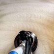 Photo #5: Carpet Cleaning Services Serving all of San Diego