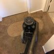 Photo #7: Sweepees Carpet Cleaning