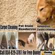 Photo #2: Professional Carpet Cleaning