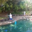 Photo #4: 25% off   **Pool Cleaning Special**  25% off