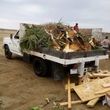 Photo #12: LEO'S TREE AND HAULING SERVICES