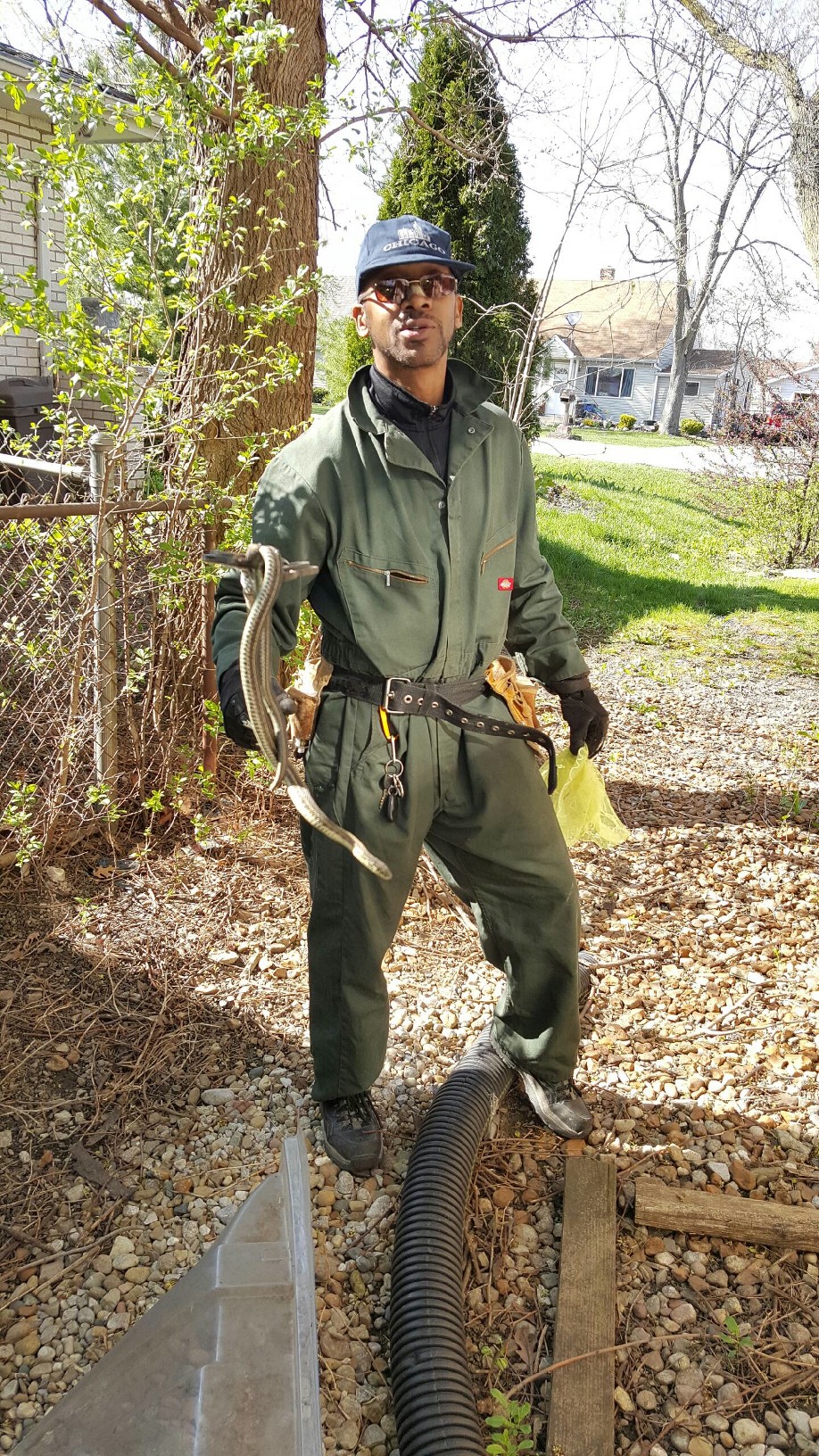 Affordable Pest Control (708) 9433279 Chicago, IL HireRush