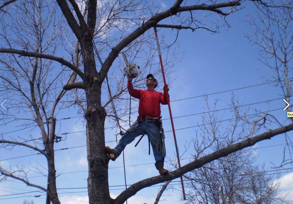 Three Bears Services (720) 4359741 Englewood, CO HireRush